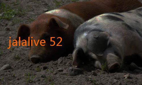 jalalive 52-JalaLive Streaming Bola Sekarang: Menikmati Aksi Liga Favorit Langsung dari Kenyamanan Rumah