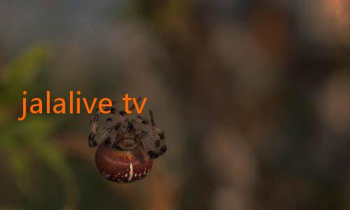 jalalive tv-Menggali Makna di Balik Jalalive IDC: Lebih dari Sekadar Kata-Kata